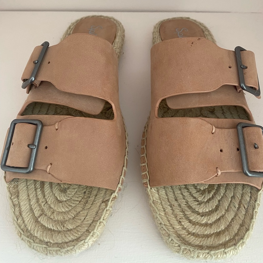 Splendid Slides